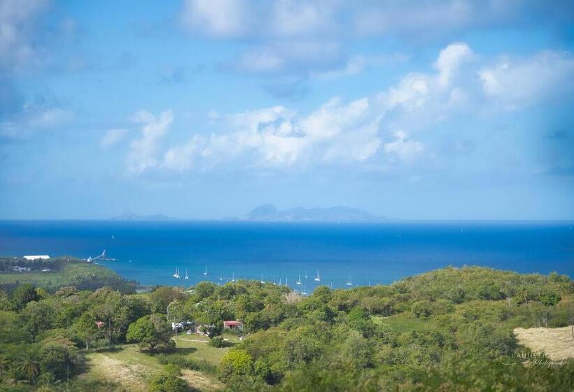 پانسیون Location Bellevue