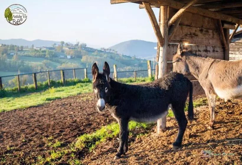 Antiche Vie B&b