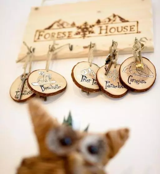 Aamiaismajoitus (B&B) Forese House