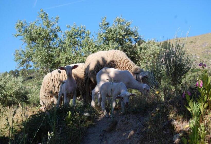هتل Casa Da Carriça Serra Da Estrela