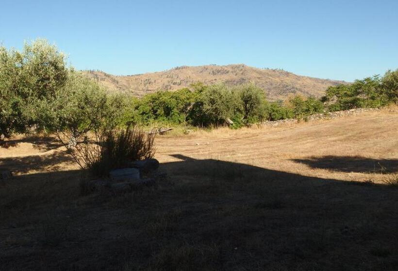 هتل Casa Da Carriça Serra Da Estrela