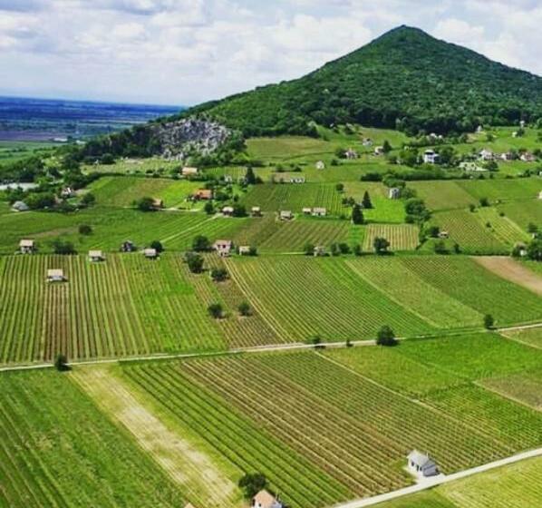 膳宿费 Borászporta  Présház