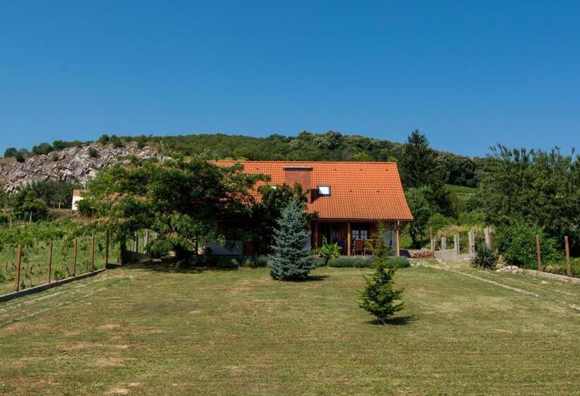 膳宿费 Borászporta  Présház