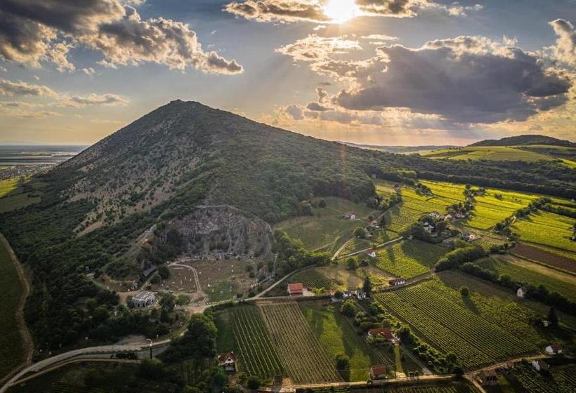 膳宿费 Borászporta  Présház