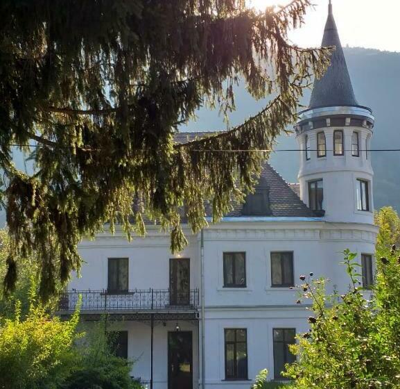 ペンション Vila Micul Castel