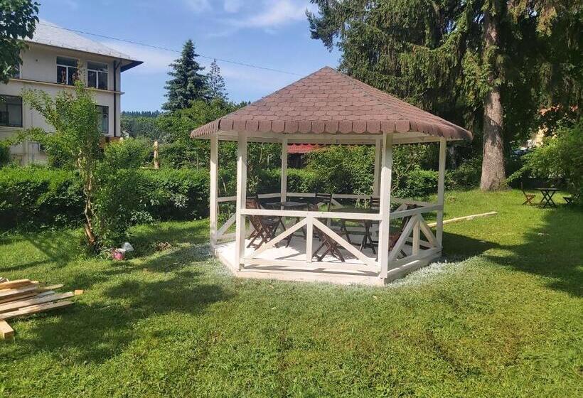 ペンション Vila Micul Castel