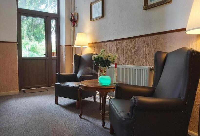 ペンション Vila Micul Castel