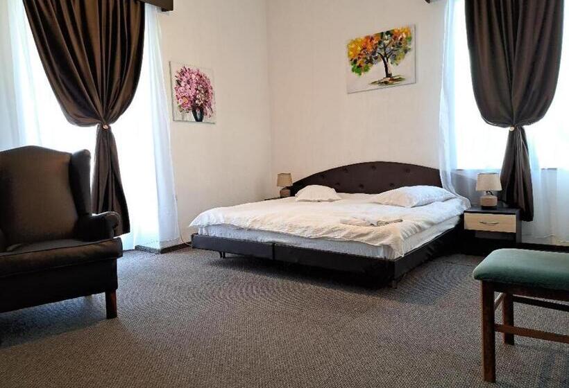 ペンション Vila Micul Castel