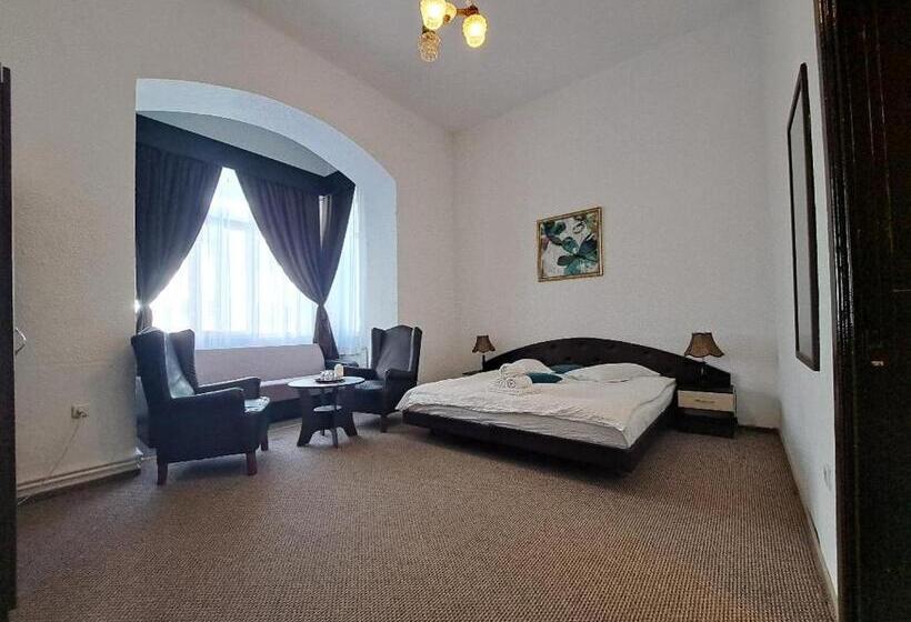 ペンション Vila Micul Castel