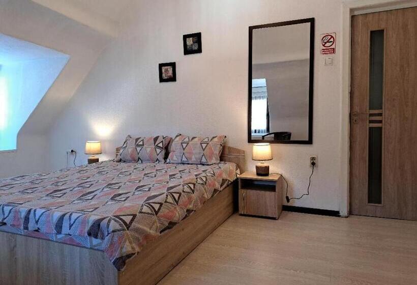 ペンション Vila Micul Castel