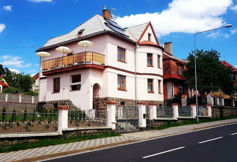 Vila Nejdek   Erzgebirge