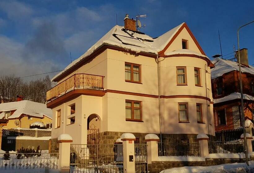 Vila Nejdek   Erzgebirge