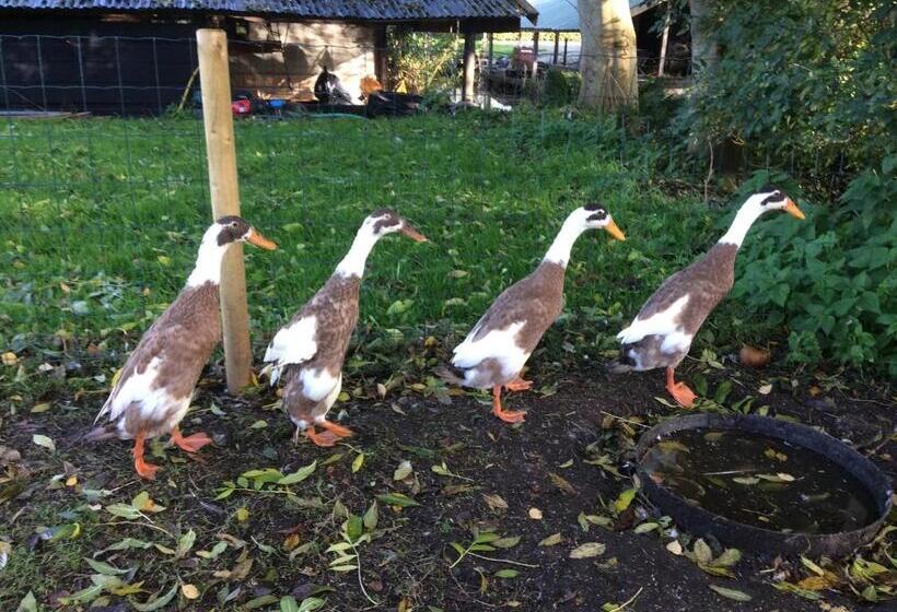 Bed and Breakfast De Aardigeyt