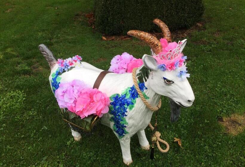 Bed and Breakfast De Aardigeyt