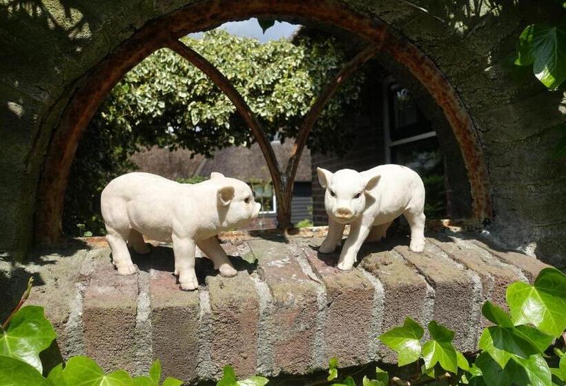 Bed and Breakfast De Aardigeyt