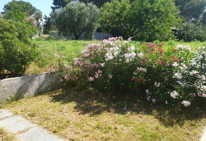 민박 La Casa Di Artemide Affittacamere Le Venelle