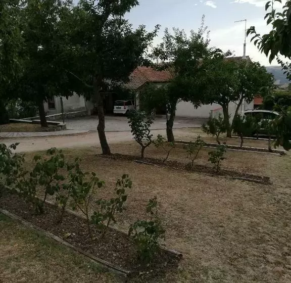 Bed And Breakfast Poggio Marano