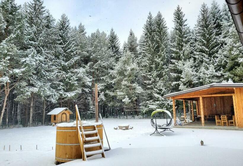 ペンション Boutique Hotel Doftana Nature Events