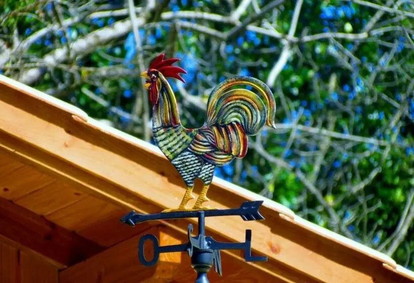 ペンション Pousada Chalé Suiço Bombinhas