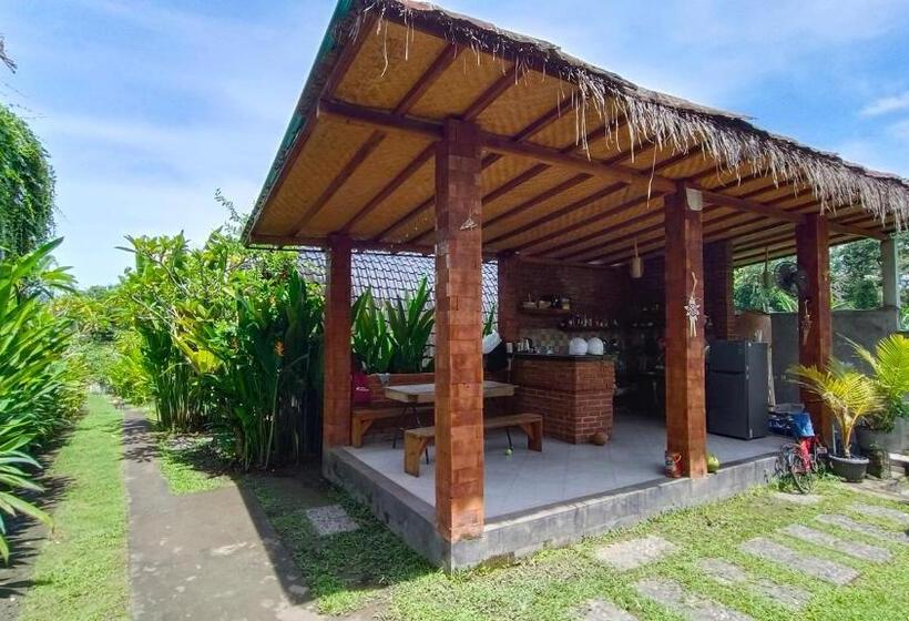 פנסיון Morning Bali Bungalow