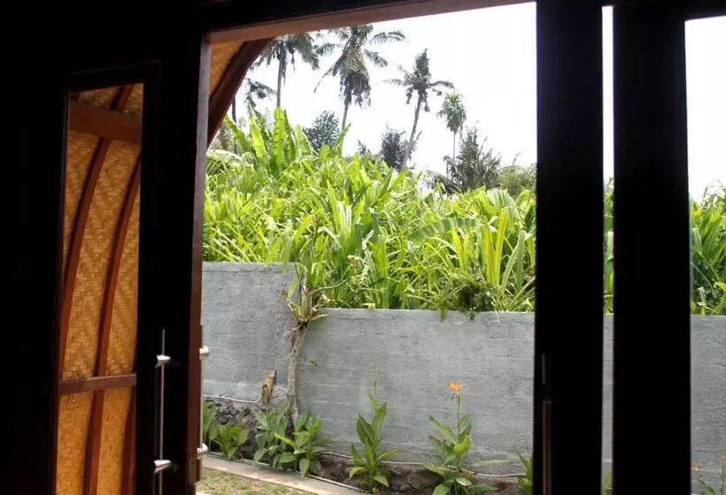 ペンション Morning Bali Bungalow