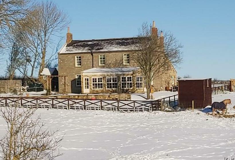 Bed and Breakfast Countryside Escape   The Night Owl