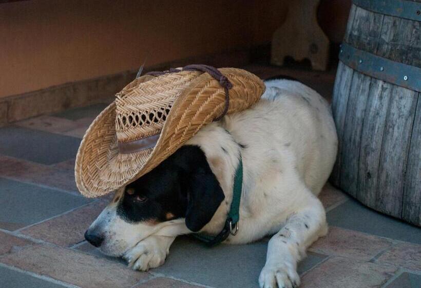 مبيت وإفطار Il Glicine