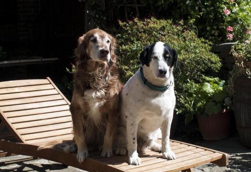 مبيت وإفطار Il Glicine