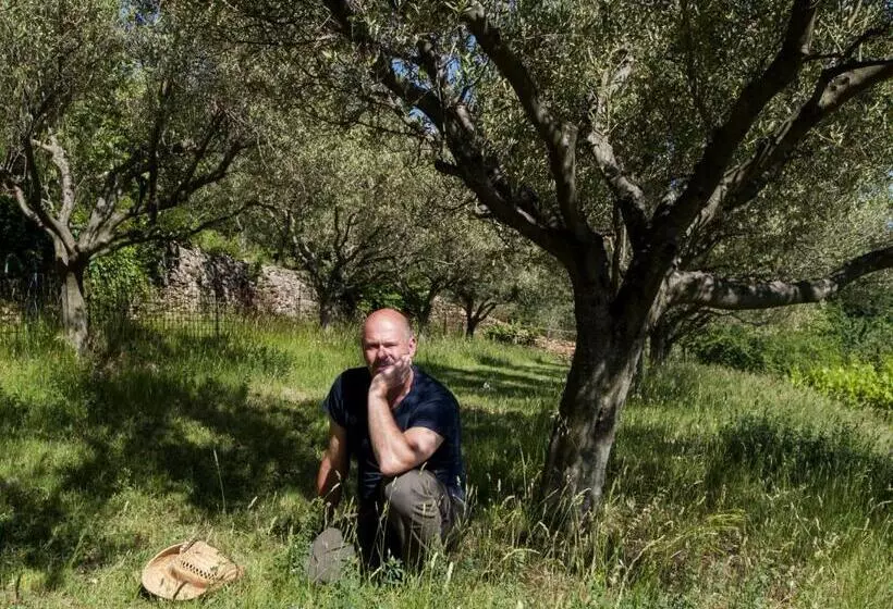 Aamiaismajoitus (B&B) Il Glicine