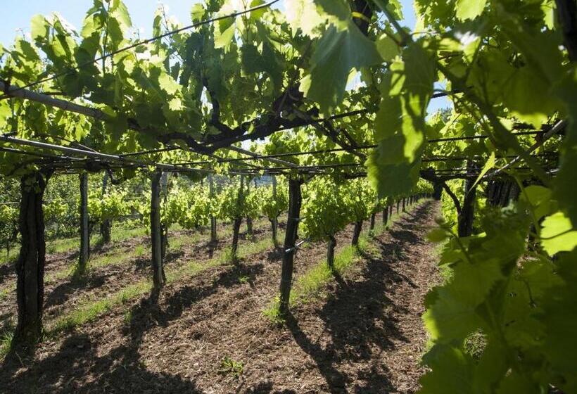 مبيت وإفطار Il Glicine