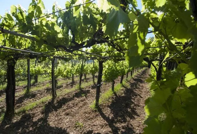 Aamiaismajoitus (B&B) Il Glicine