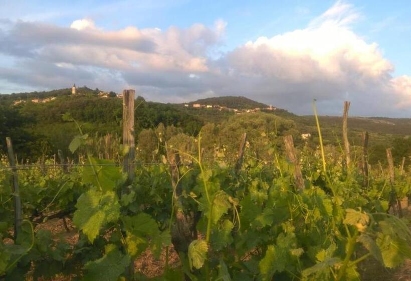 مبيت وإفطار Il Glicine