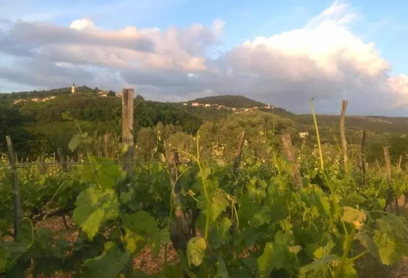 Aamiaismajoitus (B&B) Il Glicine