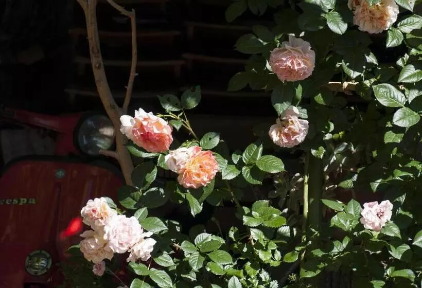 Aamiaismajoitus (B&B) Il Glicine