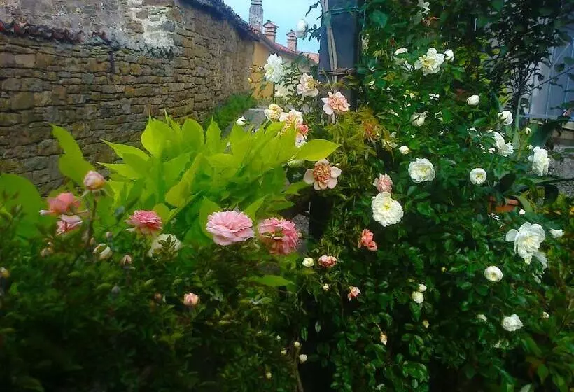 Aamiaismajoitus (B&B) Il Glicine