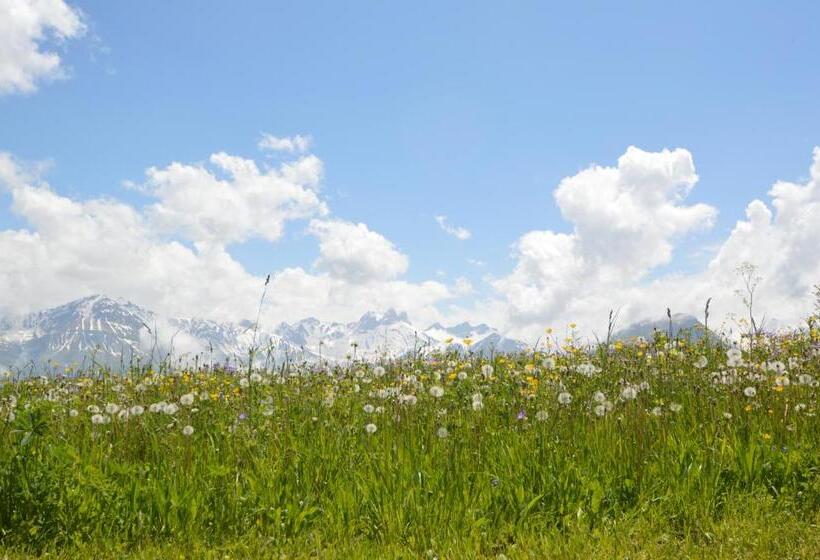 Bed and Breakfast Le Petit Chalet Leard