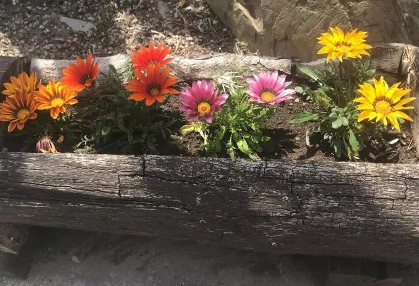 ホテル Agriturismo A Casa Di Susanna