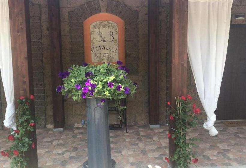 ホテル Agriturismo A Casa Di Susanna