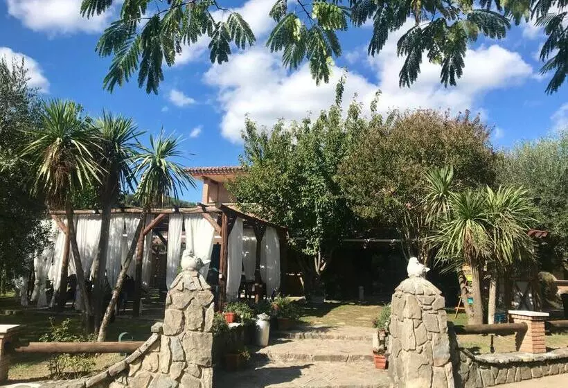 ホテル Agriturismo A Casa Di Susanna