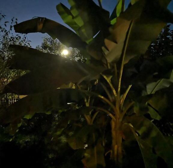 펜션 Mánfa Gyöngy Vendégház