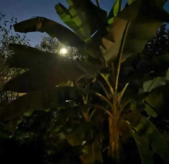 Majatalo Mánfa Gyöngy Vendégház