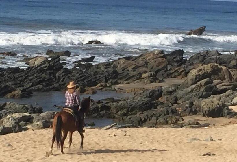 تختخواب و صبحانه Casa De La Costa