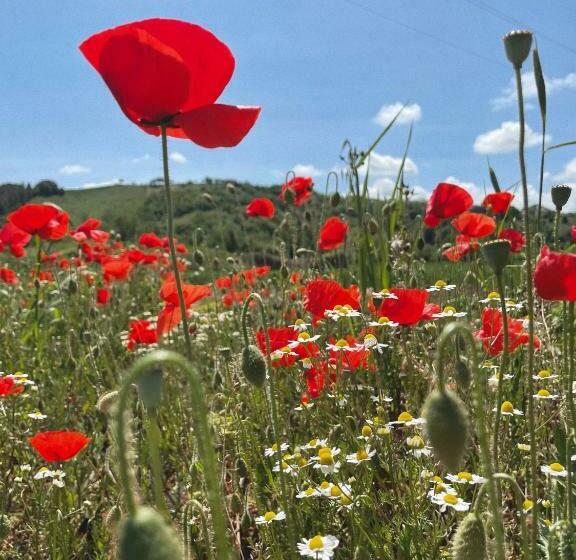 צימר La Casa Degli Artisti
