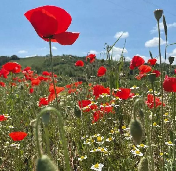 تختخواب و صبحانه La Casa Degli Artisti