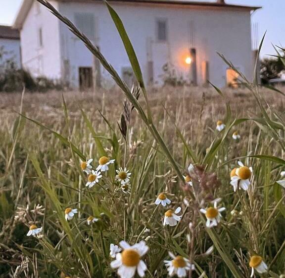 צימר La Casa Degli Artisti