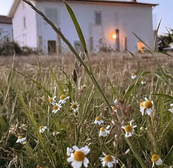 تختخواب و صبحانه La Casa Degli Artisti