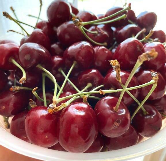 צימר La Casa Degli Artisti