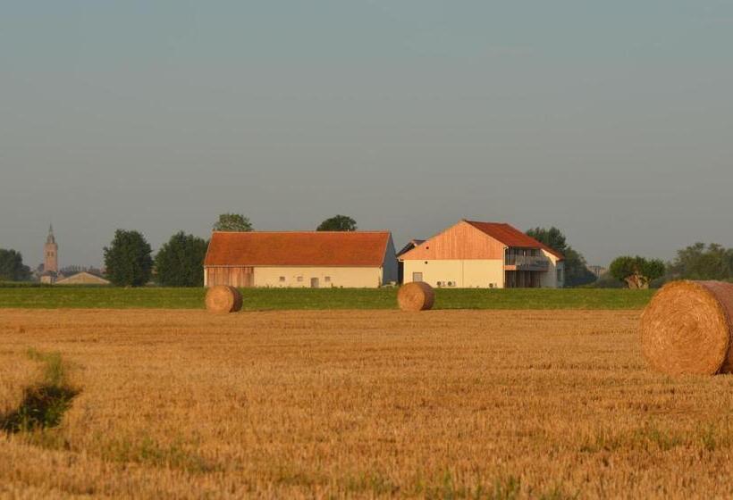 Bed and Breakfast Oversteekhof