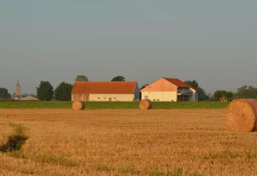 Aamiaismajoitus (B&B) Oversteekhof