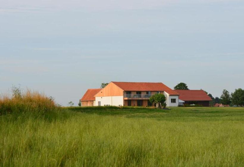 Bed and Breakfast Oversteekhof